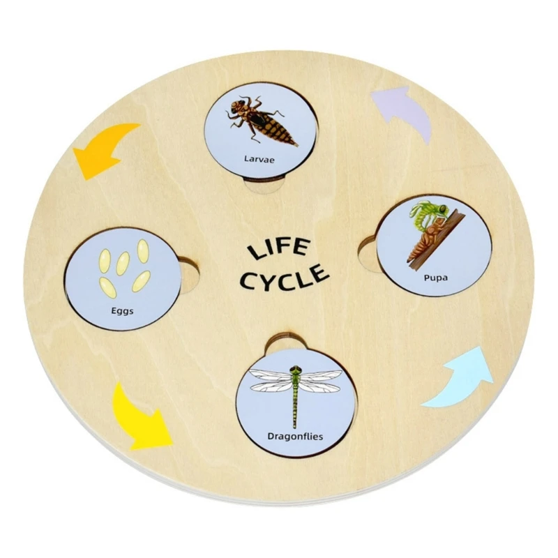 

Montessori Toy Animal & Plant EvolutionGrowth PuzzleBoard for Preschool Early Learning BusyBoard for Toddlers Gift