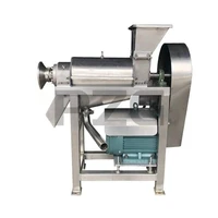 Commercial Industrial Automatic 500KG/H Fruit Juice Lemon Squeezer Extractor Citrus Juicer Extractor Machine Orange Juicer 2