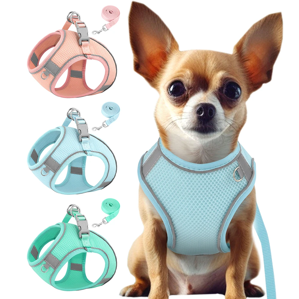 New Dog Harness for Small Dogs Leash and Collar Set Chihuahua Pomeranian  Reflective Blue Denim Puppy Supplies Cat Pet Harness - AliExpress
