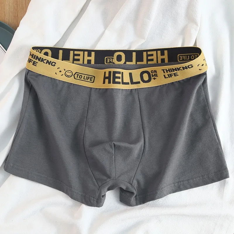 Mens Underwear 1/5pcs Men's Plus-Size Mid-Waist Breathable Cotton Boxers
