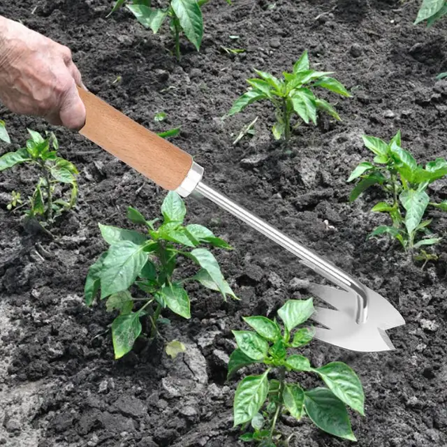 Gyomnövény -Eltávolító Kézi Szerszám Frissítse Rozsdamentes Acél Gyomnövényt 4 Fogakkal, A Fű Eltávolító Eszközt - Image 5