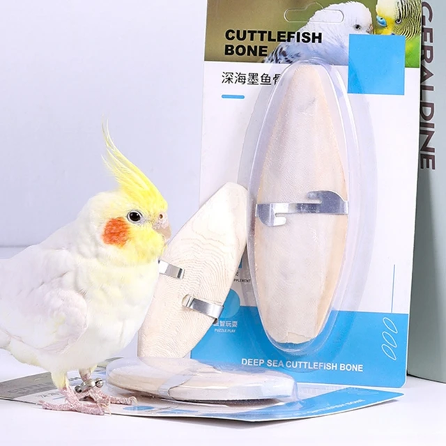 Cuttlefish Bone For Birds How To Attach Cuttlebone To Bird Cage