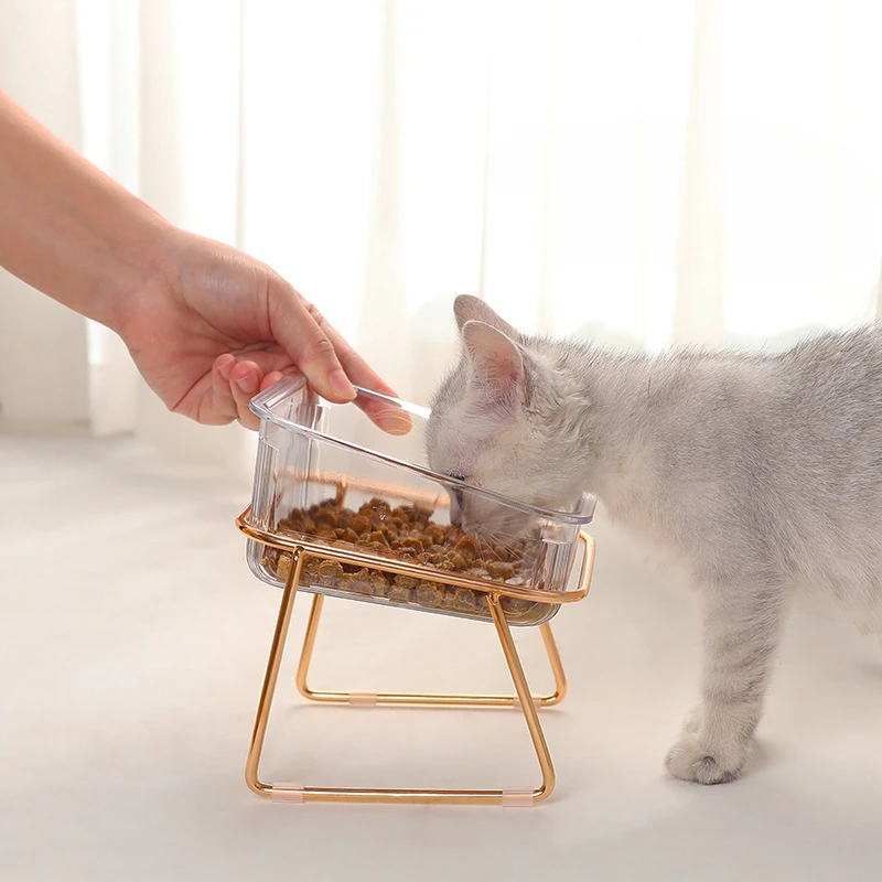 Transparent Cat Bowl with Raised Stand - Slanted Neck Protection for Drinking and Feeding - Easy to Clean Dual Iron Bowls