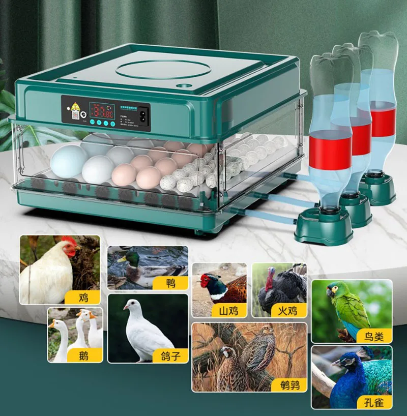 6/12 Hatcher Eggs Incubator Brooder Automatic Farm Incubation Tools Bird Quail Chick Hatcher Farm Hatcher Poultry Hatcher Turner