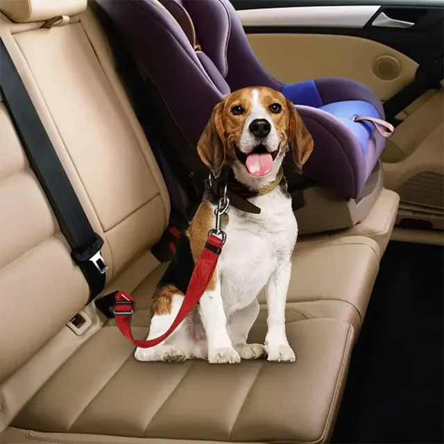 Adjustable Pet Car Harness 3