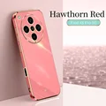 Hawthorn Red