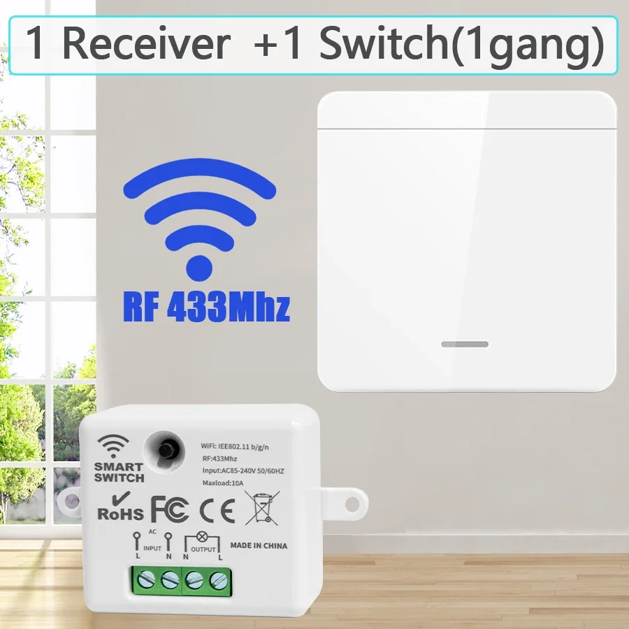 1 Receiver 1Switch