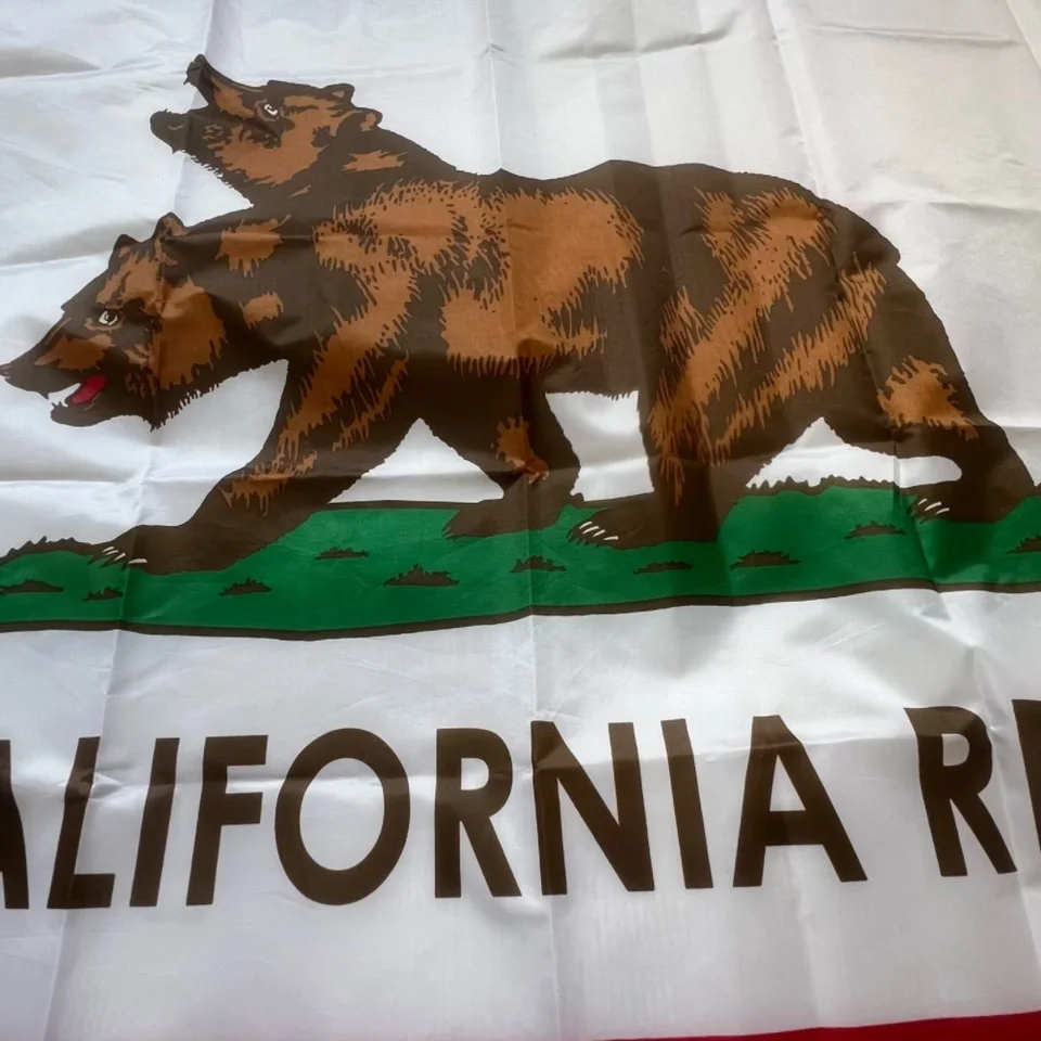 G128 Paquete de 10: bandera de oso de dos cabezas de California | 3 x 5 pies | LiteWeave Pro Series impreso poliéster 150D | Interior / exterior, colores vibrantes, ojales