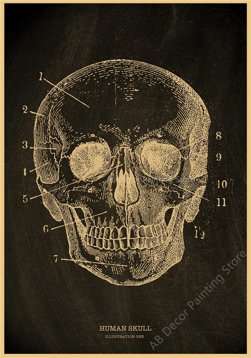 Nostalgic Posters Anatomy Chalkboard Poster Prints Body Parts Heart Hand Foot Drawing Vintage Home Room Art Wall Decor Painting Peckshirt