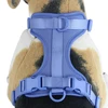 New Breathable Dog Harness Adjustable Chest Strap Outdoor Walk Leisure Harness for Small Dogs Medium Pet Accessories 2