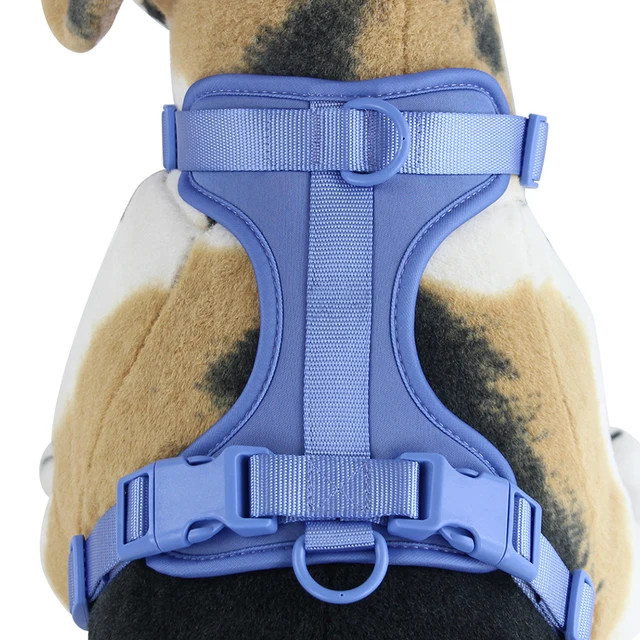 New Breathable Dog Harness Adjustable Chest Strap Outdoor Walk Leisure Harness for Small Dogs Medium Pet Accessories 2