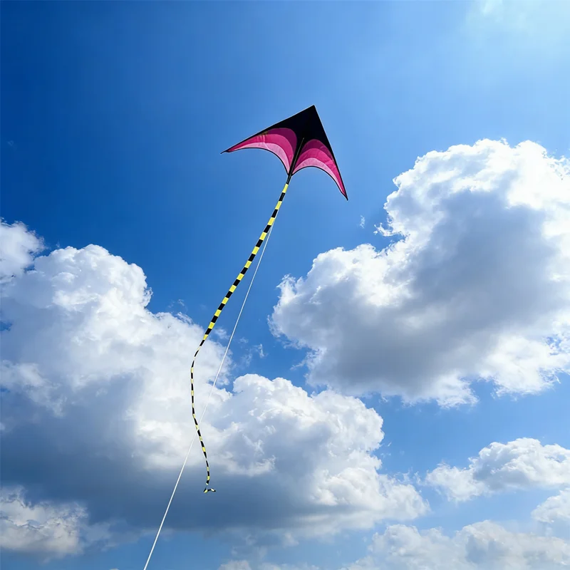 1,6 m Delta-Drachen, Winddrachen, Outdoor-Spielzeug für Kinder, Flugdrachen, Sport, Strand, professioneller Drachen, Oktopus-Drachen, Kevlar – Detail 4