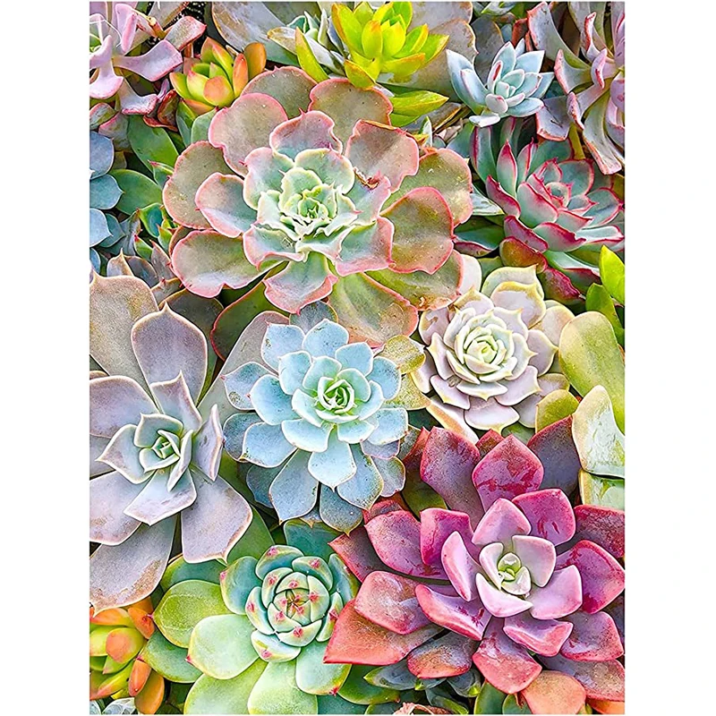 

Full Square Drill Diamond Embroidery Succulent Flower Diamond Painting Plant Mosaic Rhinestones Cross Pictures Home Decor Kits