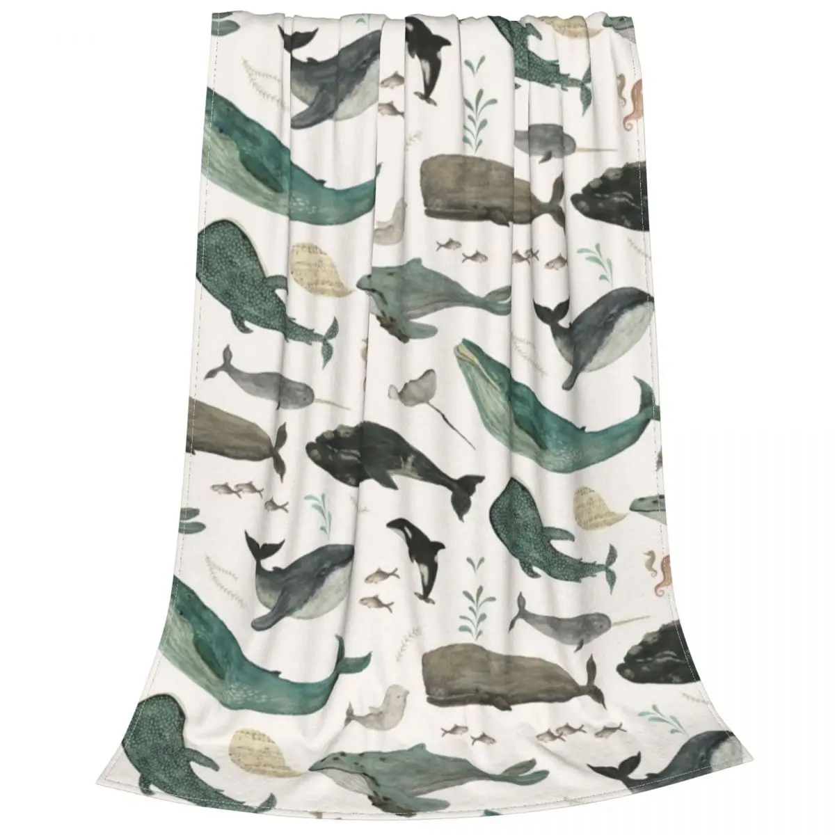 ���� �뷡 ���, Orcas and Narwhals Aquarelle ������ �ö���, ����ִ� ������ ������ ���, ħ�� ����, ����