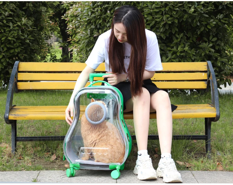 Large Portable Cat Travel Bag Pet Transparent Trolley Case Pet Carriers Travel Products