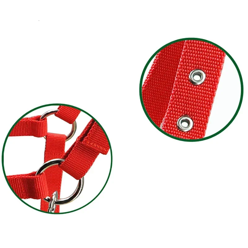 Horse Halters Headcollar Equestrian Equipment Adjustable Thicken Horse Bridle Head Collar Horseback Strap Stable Protective 6