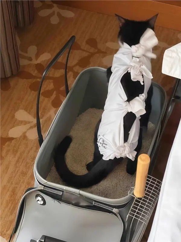 휴대용 차량용 대형 고양이 화장실, 물튀김 방지, 메인쿤용 오픈형 고양이 변기, 옥스포드 천, 휴대용 애완용품