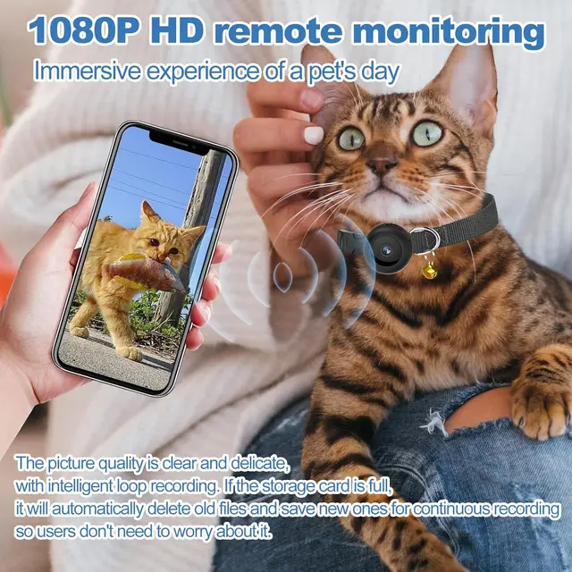 Pet Camera Collar with 64gb Sd Card Night Vision HD 1080p Mini Camera with Phone App Remote Playback Dog Cat Camera Collar 4