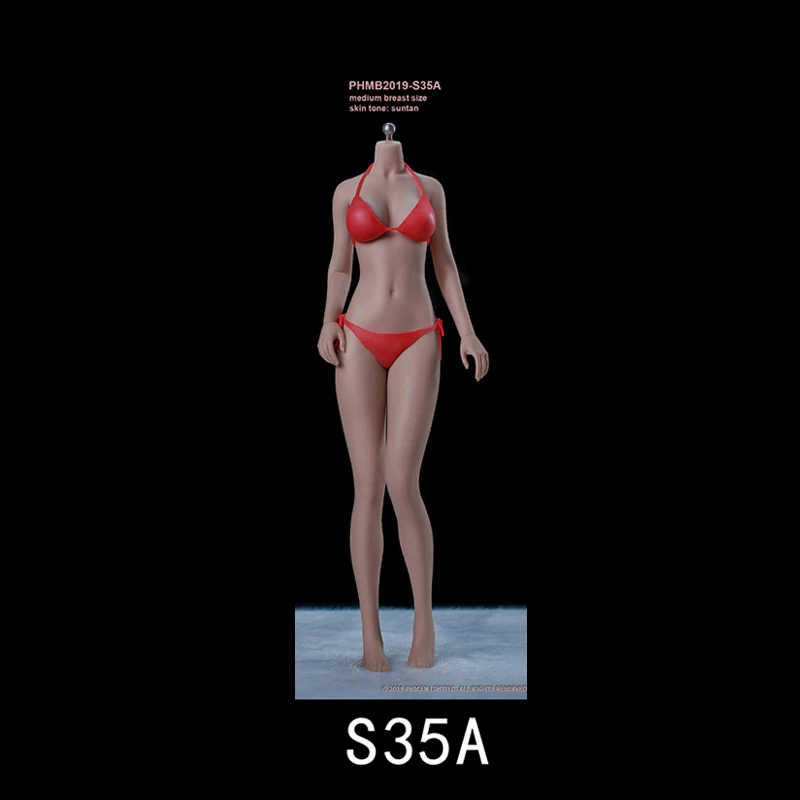 TBLeague PHMB2019-S35 1/6 Medium Breast Size Suntan Skin Female