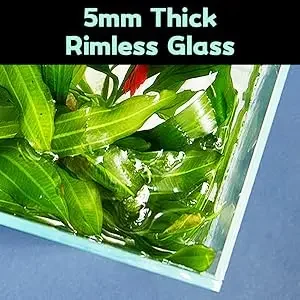 rimless