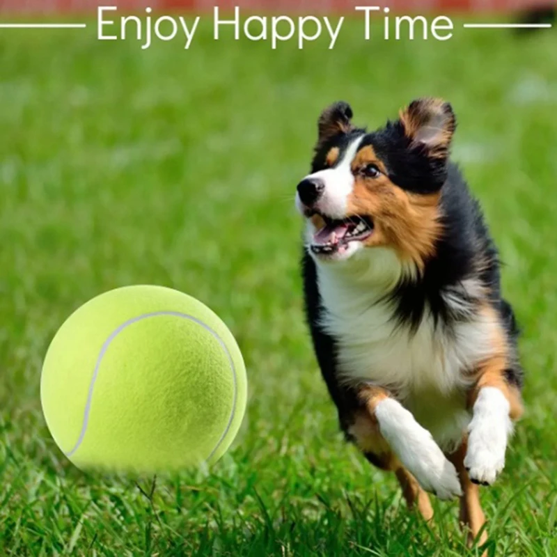 

Теннисный мяч для собаки для собак, жевательная игрушка, забавные теннисные мячи, товары для домашних животных, теннисные игрушки для собак