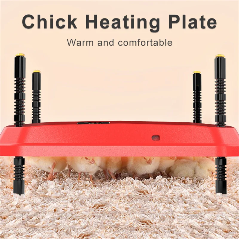 Electric Chick Brooder Heating Plate Adjustable Height Chick Cage Heater Chicken Warmer Easy To Install Convenient Time-saving