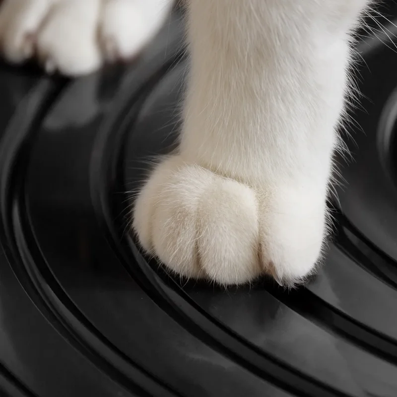Top Entry Cat Litter Box 2