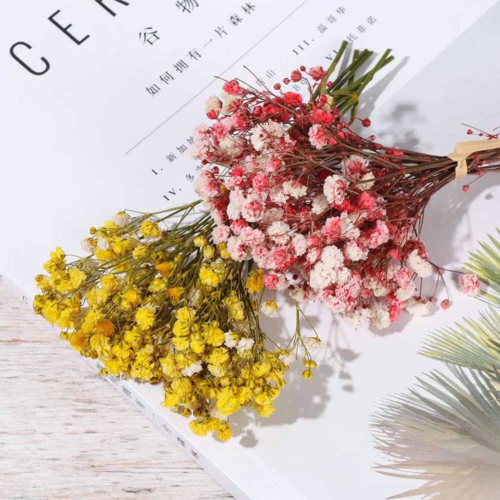 Small-Bouquet-Dry-Flowers-Press-Mini-Baby-s-Breath-Natural-Fresh-Dried ...