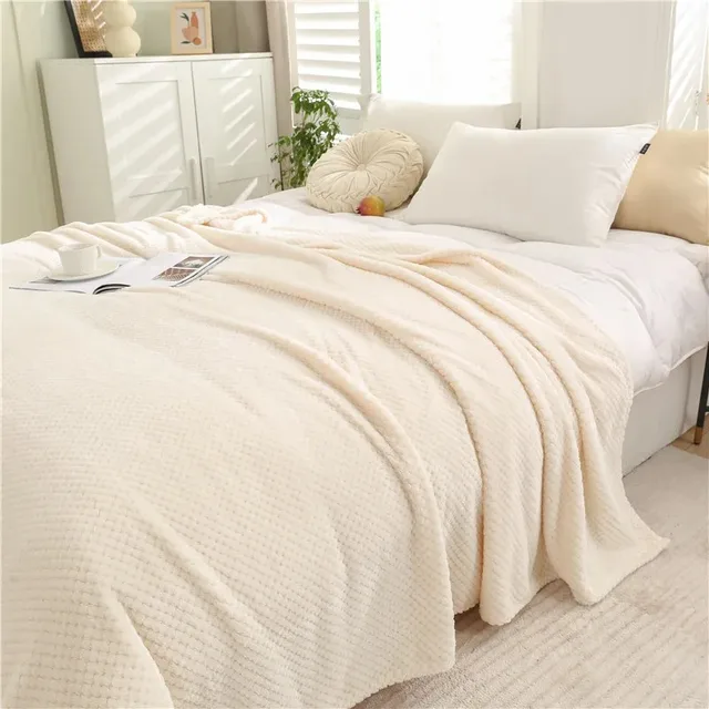 Japan Style Coral Fleece Blankets 300gsm Spring Summer Soft Fluffy Faux Fur Mink Throw Solid Sofa Cover Bedspread Plaid Blankets 2