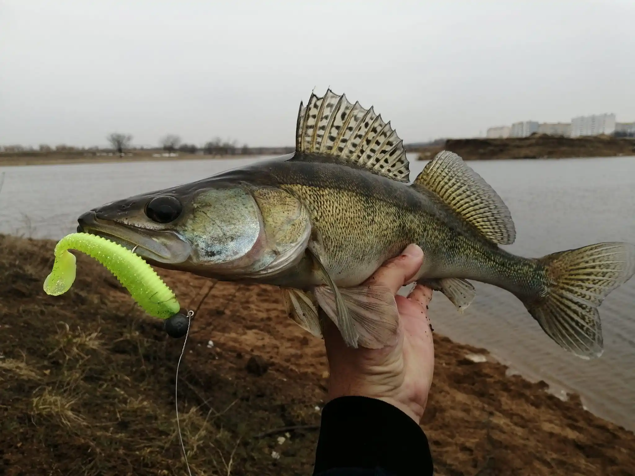Рисунок 6 - ESFISHING рыба искусственная кожа