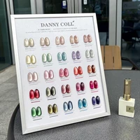 New Arrival 9D Magnetic Cat Eye Gel Nail Polish Set 25 Colors Nail UV Gel Varnish Soak Off Gelpolish Nail Art Lacque Primer 15ml 1