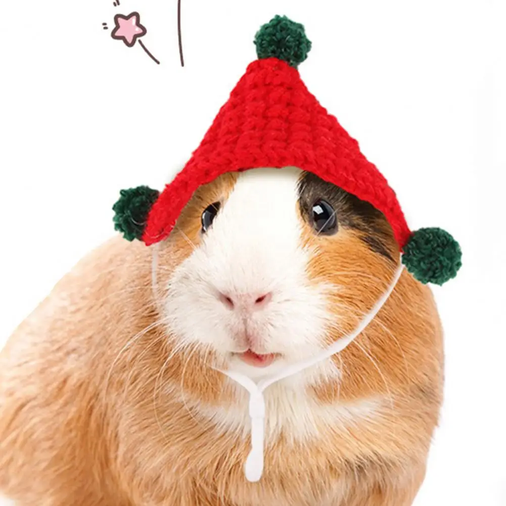 Pet Clothing Accessories Small Pet Fashion Hand Knitted Mini Hats for Snakes Hamsters Lizards Cute Costume for Holiday