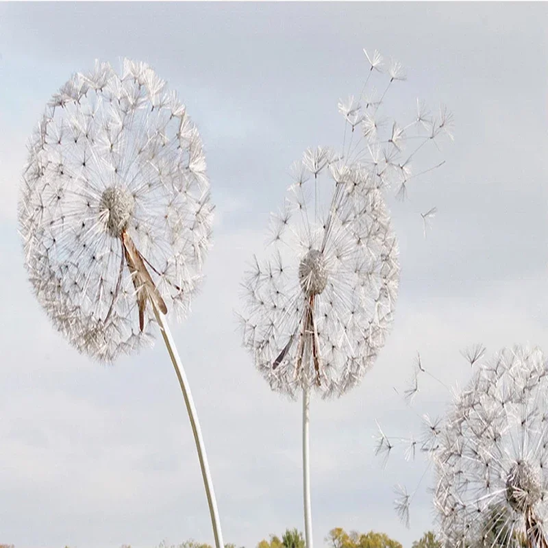 papel de parede foto personalizada para parede do pintura criativa dente sala plano fundo mural decoracao casa 02