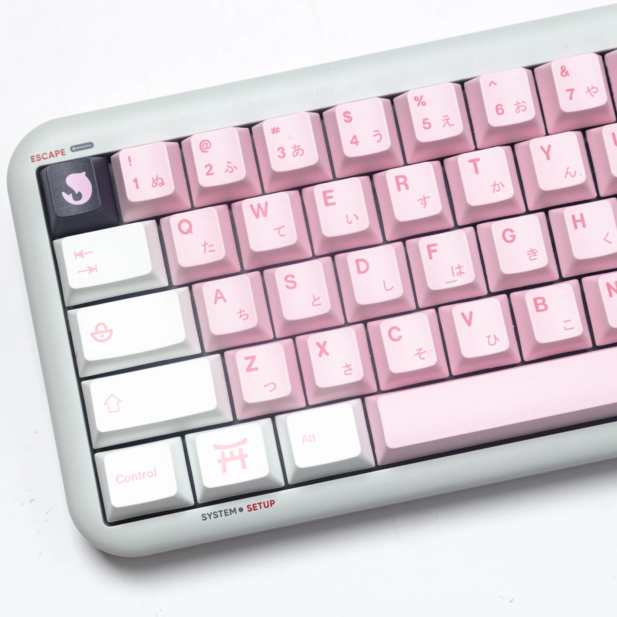 145 Tasti Cherry Blossom Keycaps Copritasti Giapponesi Pbt Dye Sublimation Cherry Profile Per Mx Switch Tastiera Meccanica Keycaps