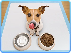 dog pee pad