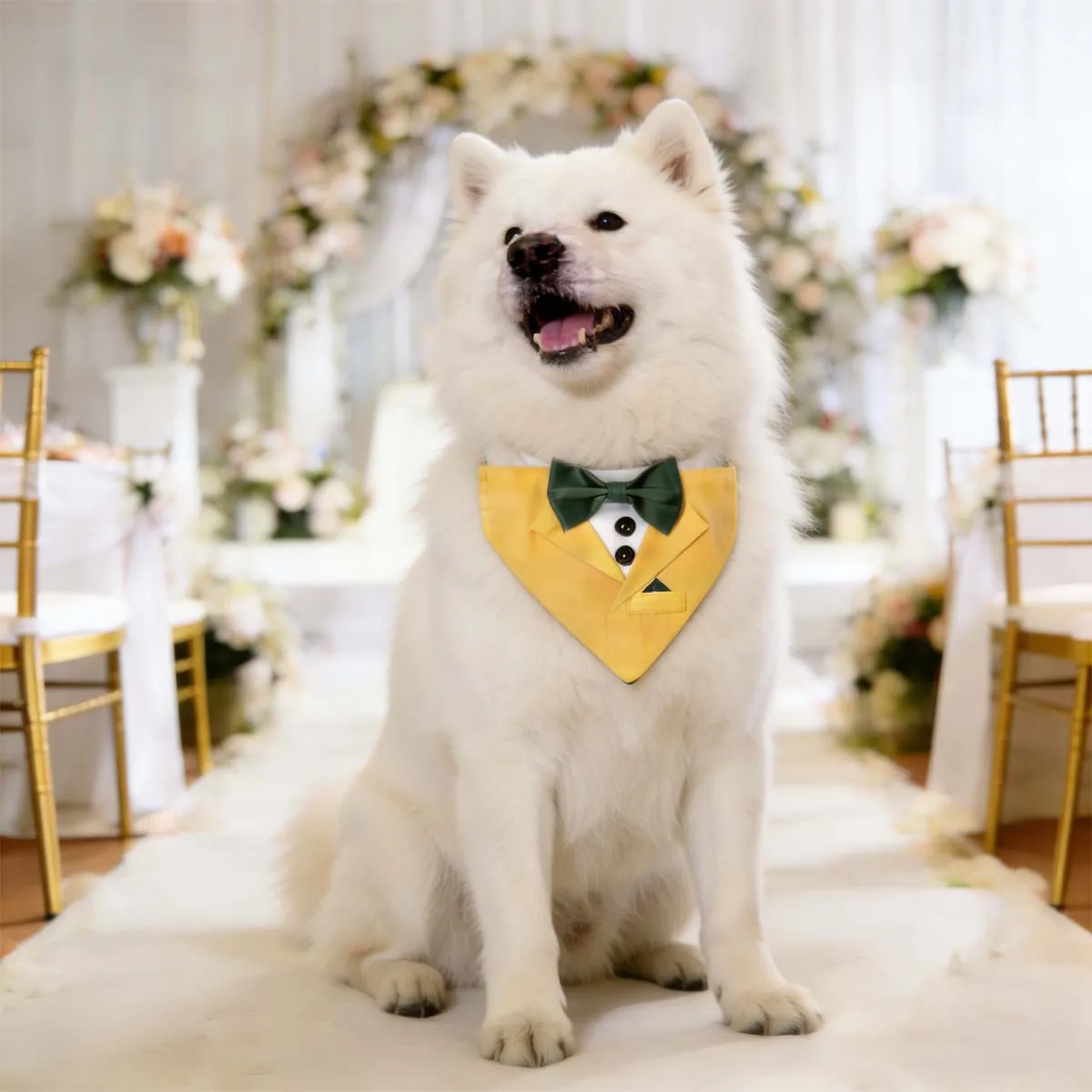 Sucado Hundehalsband für Hochzeit, Verlobung und Geburtstag, Hundehalsband-Kostüm mit Fliege und verstellbarer Schnalle, für Hunde – Detail 10