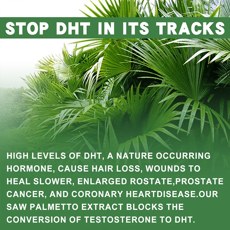 Saw Palmetto-Male Prostate and Reproductive Health Reducing Baldness and Hair Thinning