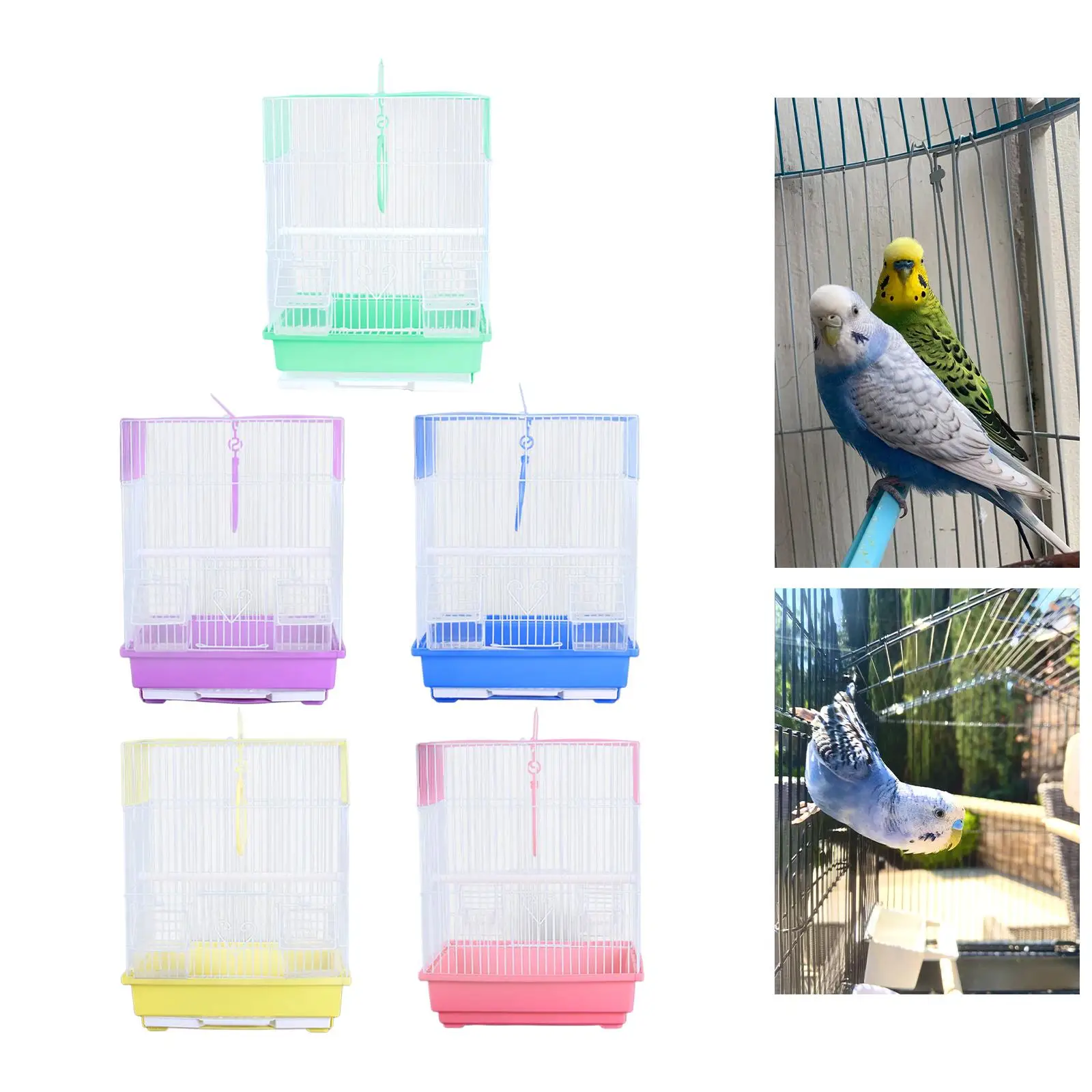 Iron Big Bird Cage with Hook Pole Removable Tray for Indoor Aviary Parakeets and Finch Breeding