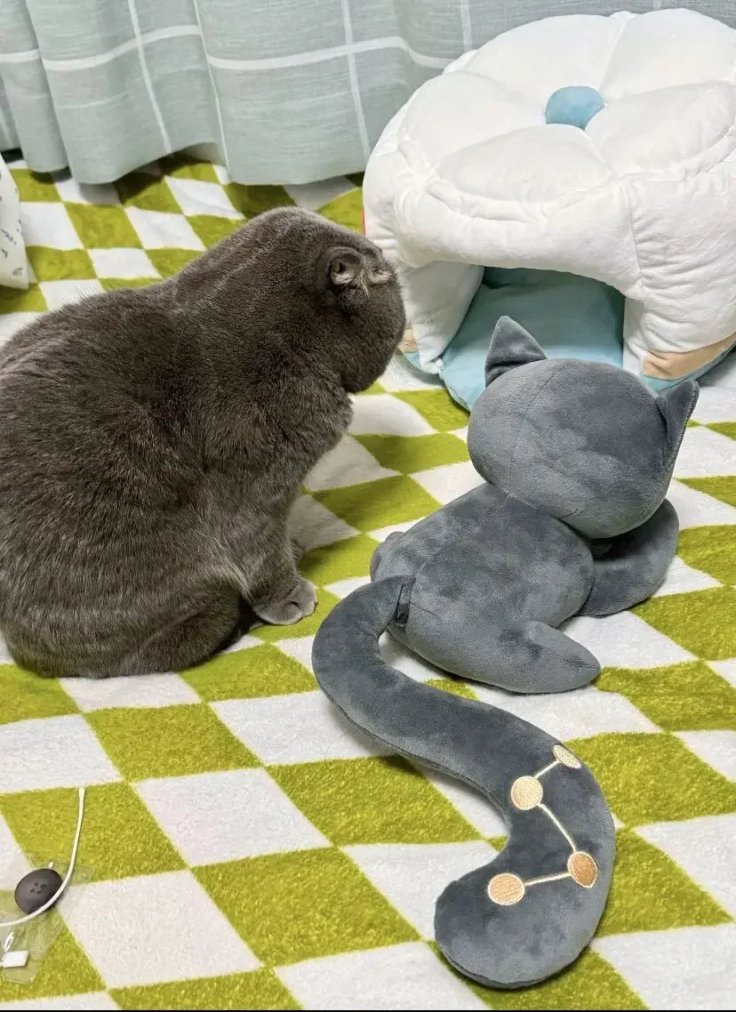 カエルぬいぐるみ　ドール　猫ちゃん　人形　動物　モデル　フィギュア　おもちゃ 41j7rFxFVYL.jpg_BO30,255,255,
