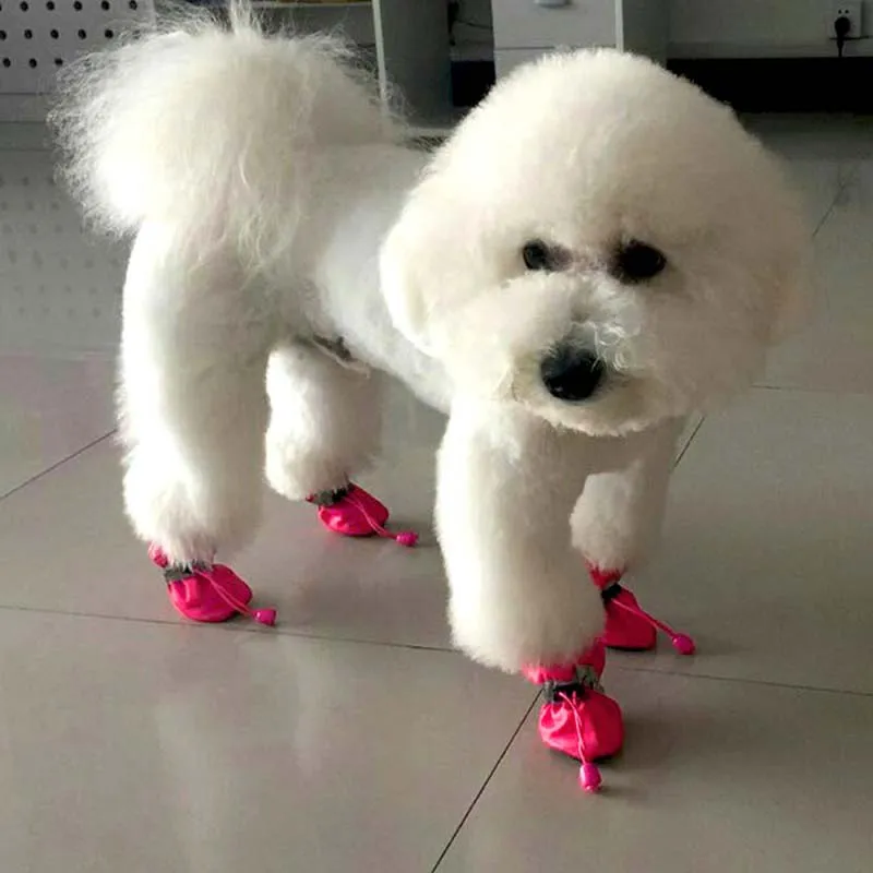 Title 8, 4pcs Antiskid Puppy Shoes Pet Protection Soft-s...