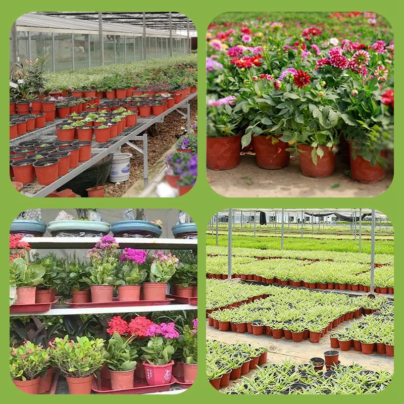 Plant Pot 100PCS Plant Nursery Pot Seed Starting Pot Plastic Flower Plant Container Succulents Seedlings Cuttings Transplant 9/12/15cm