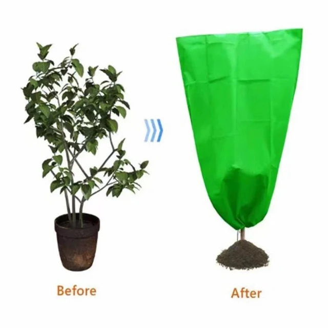 Juste de Protection contre le Gel pour Plantes d'Hiver, Sac Respirant, Anti-duplex,  Épais, Grand Arbre, Arbuste, Jardin Extérieur, Cour, 240x200cm - AliExpress