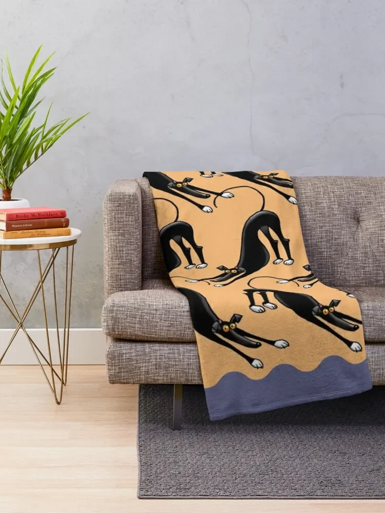 ����ٿ� �Ͽ�� ���ο� ���, ���� ���� ���, ķ�� ���� ���� ���