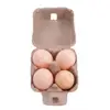 Grids Kraft Pulp Egg Cartons Chicken Eggs Tray Egg Containers Refrigerator Empty Egg Storage Box 3