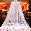 Princess Style Mosquito Net Mesh Hung Dome Home Canopy Mosquito Mesh Bedding Net Home Supplies 6