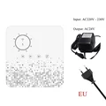 EU Plug
