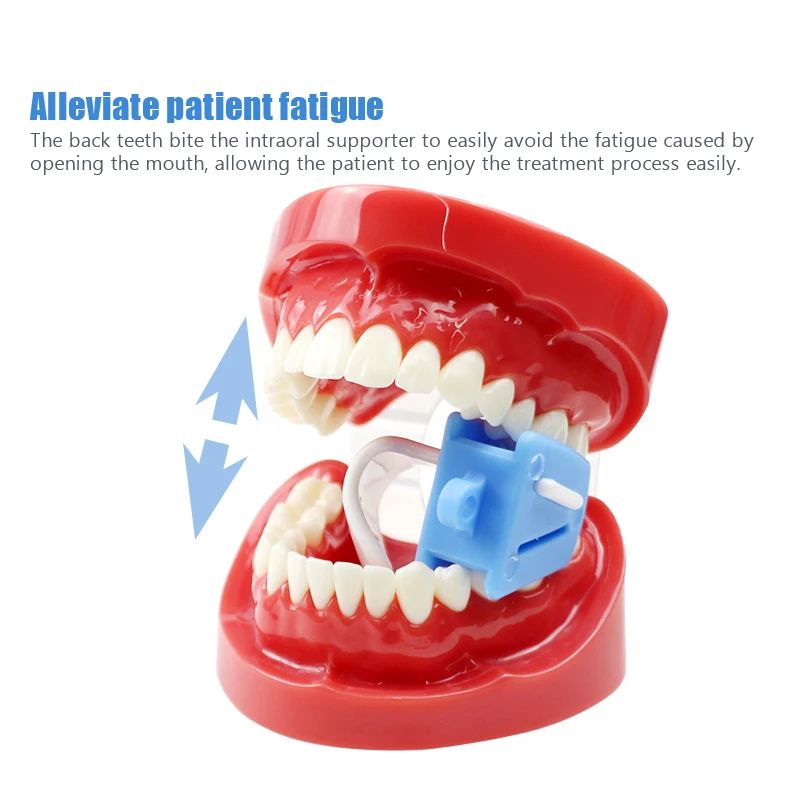 

Dental Silicone Cheek Retractors Mouth 3Sizes Optional Props with Restrain Tongue for Dentist Orthodontic Tools 1pcs