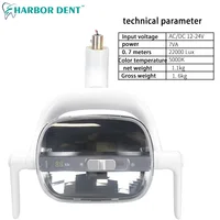 Lampe LED à Réflexion Dentaire Halogène, Lumière Orale pour Chaise de Dentiste, Projecteur Infrarouge Inductif, Équipement de Dentiste AC 12-24V 3