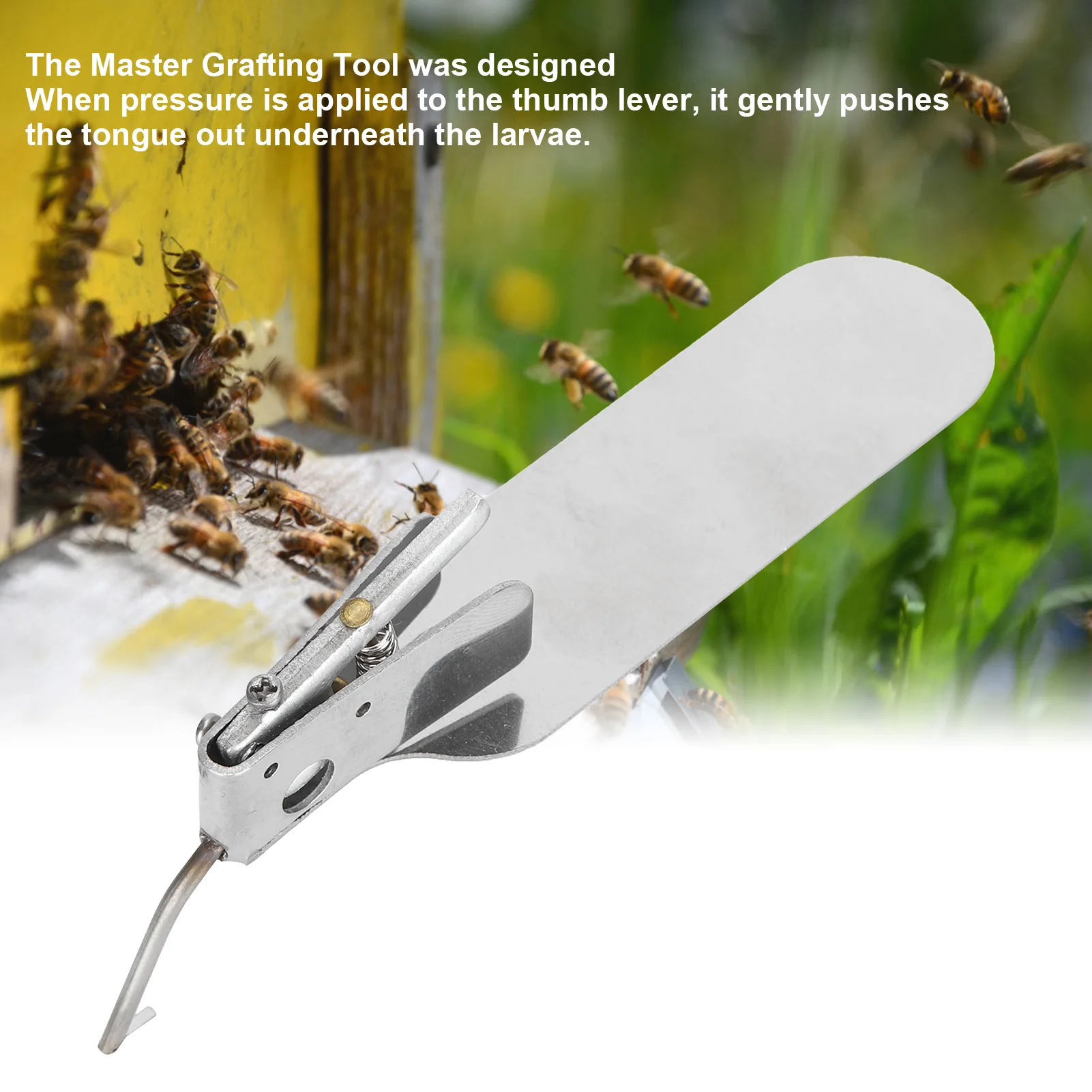 Beekeeping Grafting Tool Beekeeping Tool Grafting Single‑End Queen Bee Larva Needle Transferring