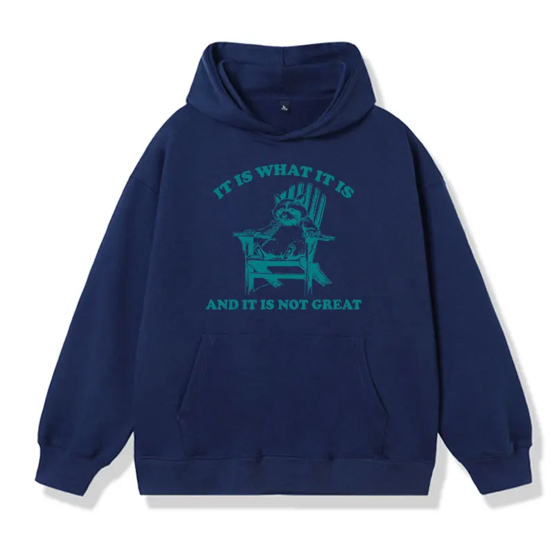 Lt Ls What It Ls and It Ls Not Great Funny Raccoon Graphic Hoodie Men's Autumn and Winter Fashion Oversized Sweatshirt Pullover